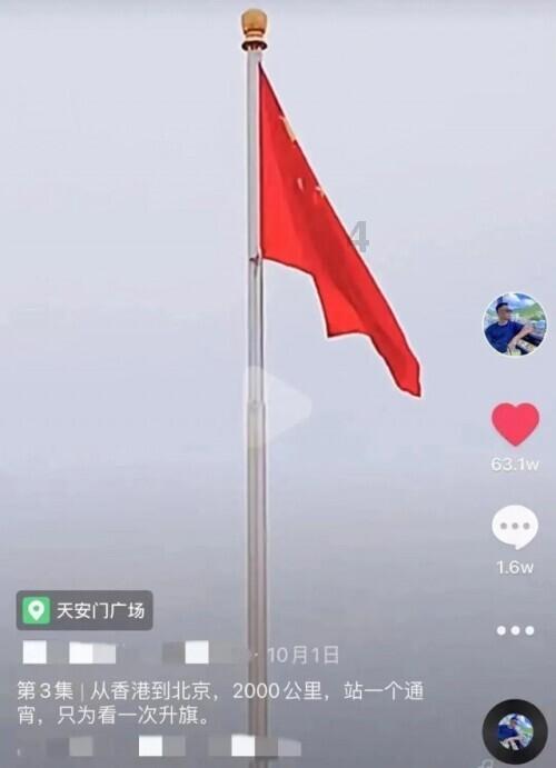 小长颈鹿逃离